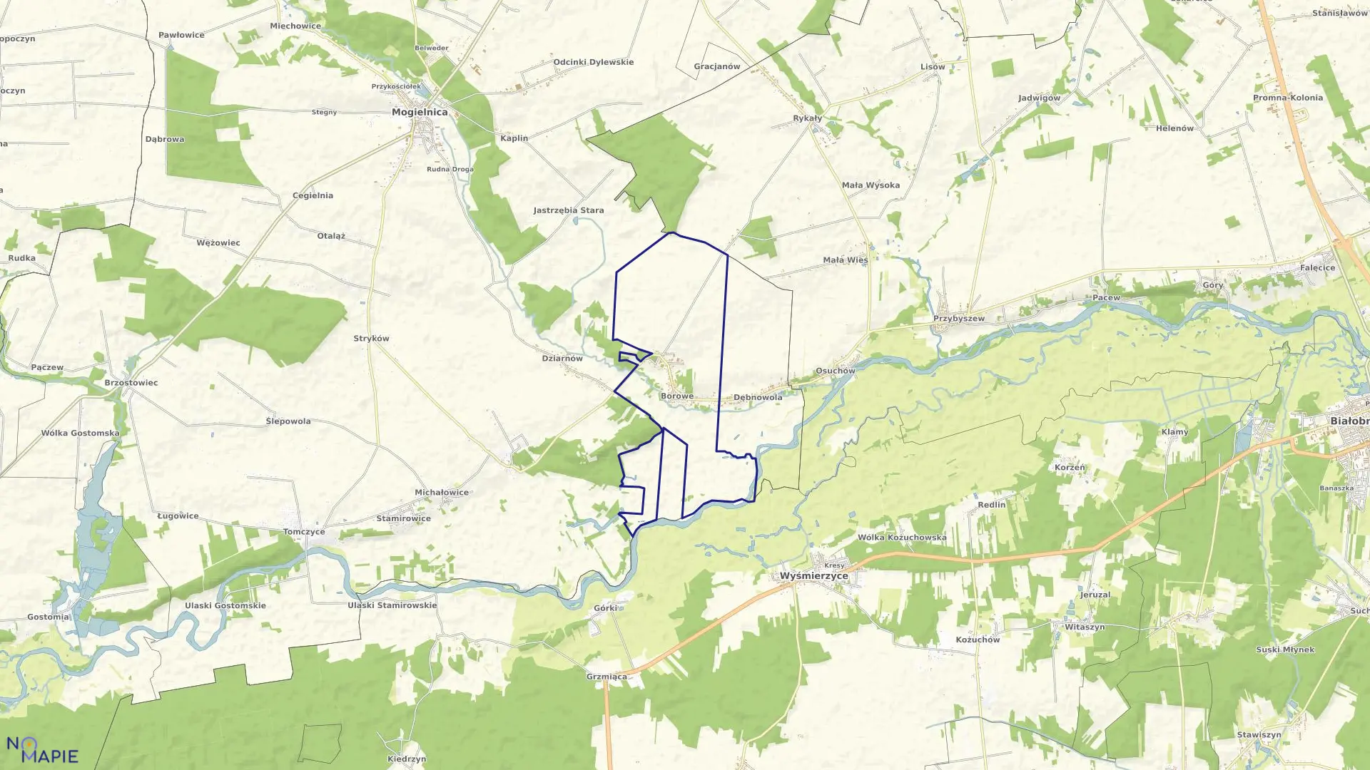 Mapa obrębu BOROWE w gminie Mogielnica